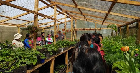 QUILACO, CONTARÁ CON PDTI (Programa de Desarrollo Territorial Indígena) Requisitos para postular: Tener  calidad de Indígena,. Realizar agroturismo, ser agricultor,...